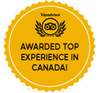 TripAdvisor badge of excellence